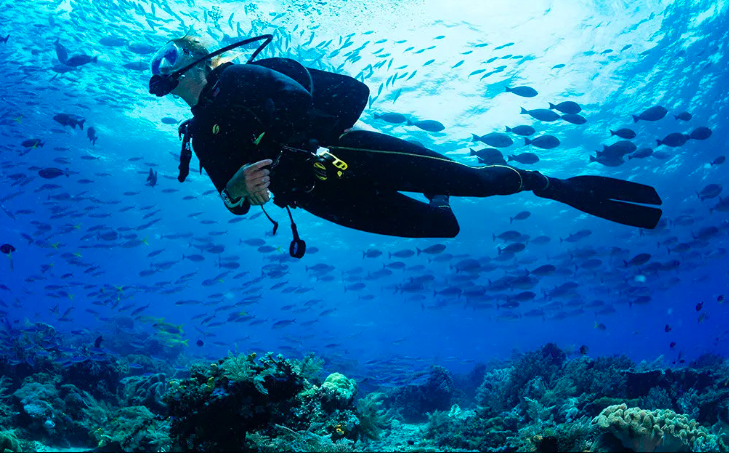 SCUBA DIVE DUBAI
