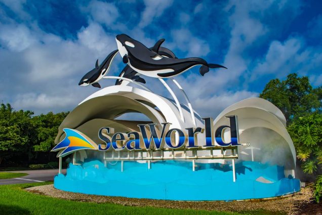 SeaWorld Abu Dhabi Tickets