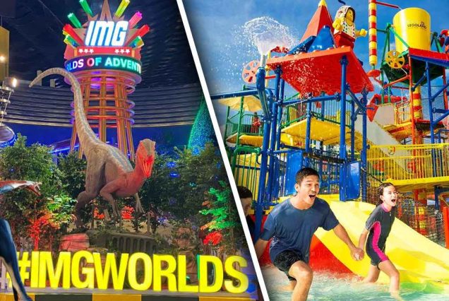 IMG World & Wild Wadi Combo