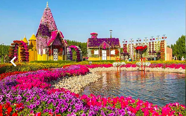 Miracle Garden Dubai