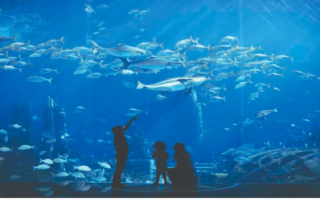 The Lost Chambers Aquarium Dubai | Atlantis The Palm